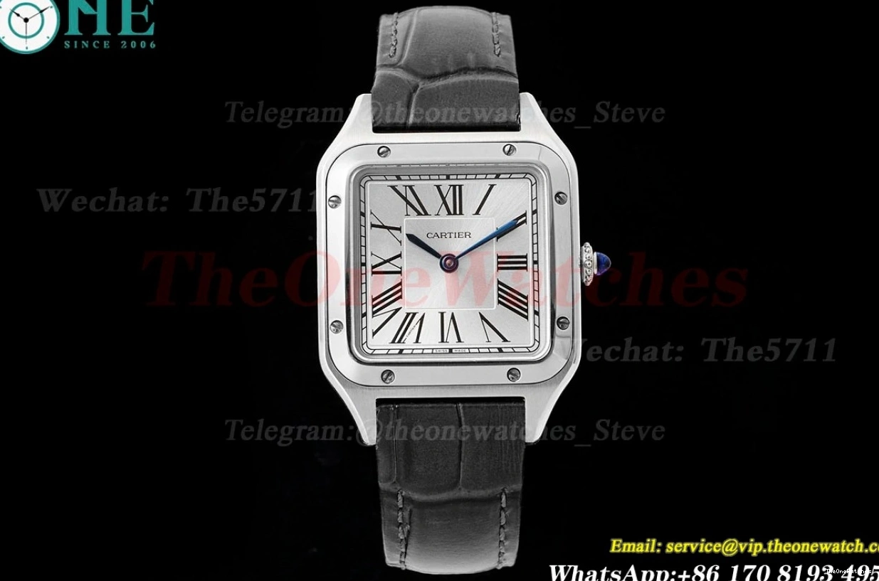 Quartz Grey Dumont Santos SS Dial AF LE Silver 0116